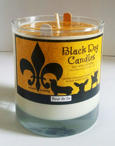 9 oz Glass Tumbler Soy Wax Candle
