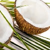 Cabana