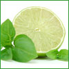 Load image into Gallery viewer, Citrus Basil