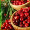Cranberry Balsam