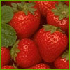 Load image into Gallery viewer, Strawberries n Cream