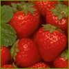 Strawberries n Cream