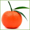 Tangerine and Tonic