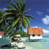 Load image into Gallery viewer, Tropics