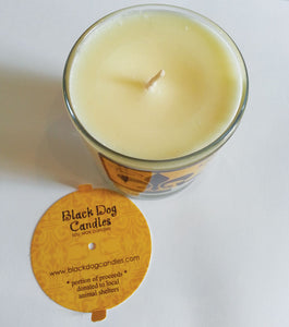 9 oz Glass Tumbler Soy Wax Candle